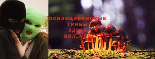 крисы Алексеевка